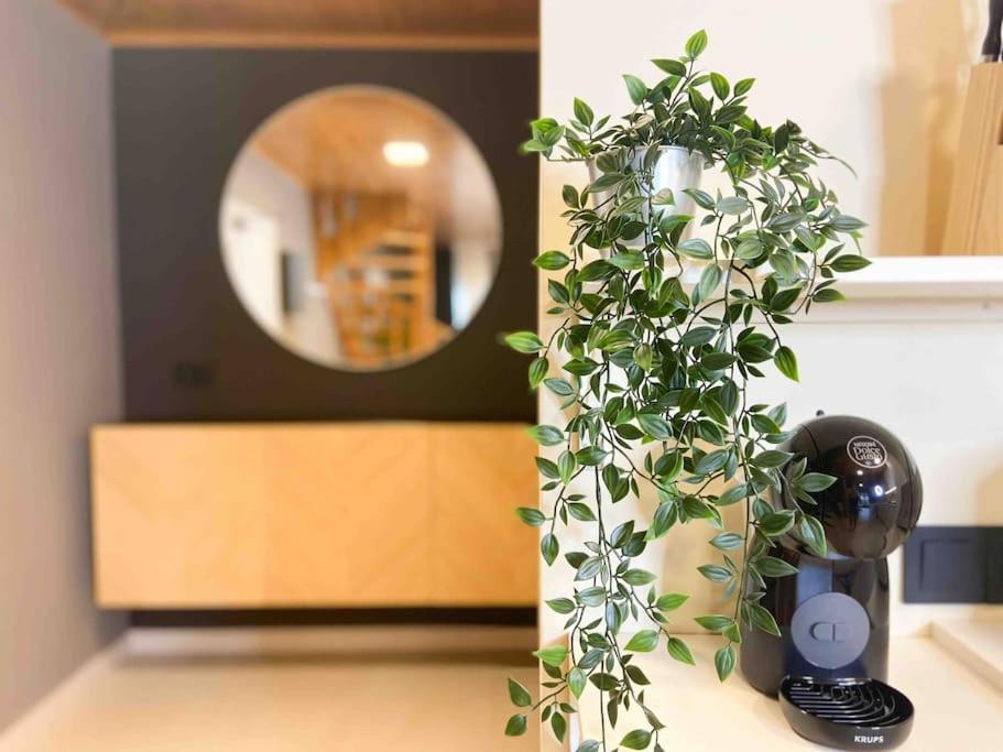 Lujoso Atico Duplex En Valle De Incles - Parking Gratis L By Bonesvacances 卡尼略 外观 照片
